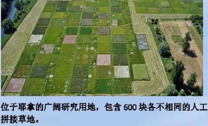 PR2土壤剖面水分探头，用于多次生物多样性生态系统功能研究实验